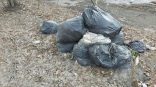 Камеры на санитарных площадках фиксируют факты незаконного сброса мусора в Омске