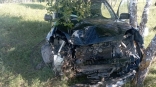 В Омской области после преследования угнанная машина разбилась всмятку