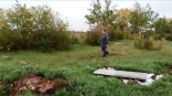 На участке сельхозназначения в Омской области обнаружили разложившиеся трупы и розовый порошок