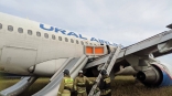 Названа предварительная причина посадки самолета Сочи – Омск в поле под Новосибирском