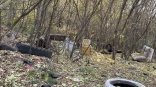 В Омском районе массово ликвидируют несанкционированные свалки