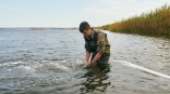 Западносибирские нефтетранспортники сохраняют биоразнообразие сибирских рек