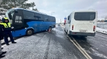 Омичка пострадала в столкновении автобусов Семыкина и Мадьярова