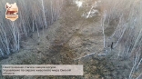 В Омской области попал на видео ожесточенный бой двух самцов косули