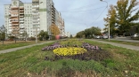 Депутаты оценили идею появления в Омске «Школьного бульвара» на месте «Бродвея»
