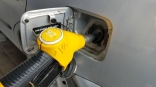 Омский экономист назвал причину стагнации розничных цен на бензин и дизель при снижении оптовых