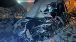 Опубликованы фото смертельного столкновения «Лады» и большегруза на омской трассе