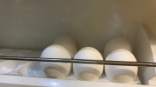 Статистики объявили причины снижения производства куриного мяса и яиц в Омской области