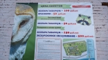 Зоопарк на Жукова в Омске озвучил график работы в новогодние каникулы