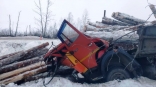 В Омской области бревнами из прицепа раздавило водителя и пассажира КамАЗа