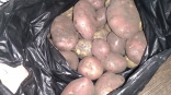В Омской области за 27 миллионов рублей продают бизнес по выращиванию картошки