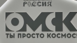Омский микроминиатюрист Коненко попал в Книгу рекордов с необычным достижением