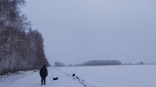 Весна в Омской области начнется с аномальных морозов