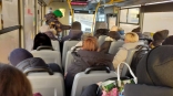 На омские дороги выйдут новые синие пассажирские автобусы