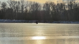 В Омске пройдет рыболовный турнир по ловле на мормышку со льда