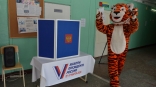 Омич пришел на выборы президента в костюме тигра