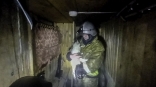 Из горящего дома спасли спрятавшуюся кошку Люську