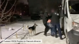 Случайный пес присоединился к ФСБ на задержании сотрудника Омского аэропорта