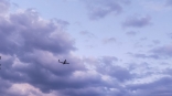 На борту двух самолетов рейсом Омск – Москва случилось одинаковое ЧП