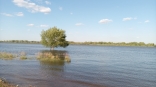 Уровень Иртыша на севере Омской области вырос почти в 8 раз