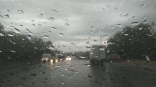 Омскую область ожидает череда мощных дождей
