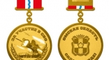 В Омской области планируют вручить сотни медалей «За участие в СВО»