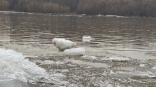 Уровень воды в реке на севере Омской области превысил опасную отметку