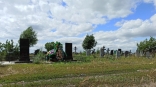 Омские кладбища обработают от клещей в несколько этапов