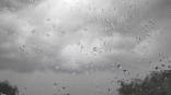 Омску спрогнозировали 22 дождливых дня в ближайший месяц