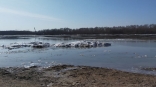 В МЧС назвали масштабы паводка на севере Омской области
