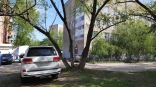 Омичи получили более 30 миллионов рублей штрафа за парковку на газоне