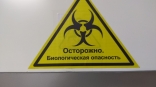 В Омской области введут карантин из-за инфекции, вызывающей опухоли