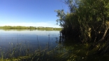 В озеро омского парка 30-летия ВЛКСМ запустили карасей и щук