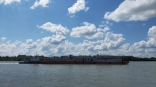 У омского «Иртышского пароходства» возникли сложности с выплатой многомиллионных дивидендов