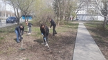 Активисты молсовета вышли облагородить город в рамках акции «Омску – наша забота»