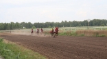 В Омском районе прошли соревнования по конному спорту на Кубок главы Геннадия Долматова