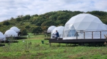 Купольные отели и сафари-тенты: по Омской области распространяется тренд на глэмпинг