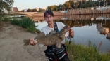 В центре Омска поймали гигантского судака
