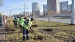 Мэр Омска Сергей Шелест рассказал о масштабном озеленении обновленного бульвара