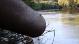 Омский водоканал выявил более 100 случаев несанкционированных сбросов ЖБО за два месяца