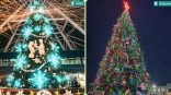 Выбраны самые красивые елки Омска и области