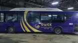 В Омске на маршруты вышли фиолетовые автобусы