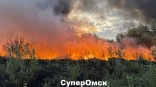 Пожаров в Омской области стало меньше, но они крупнее