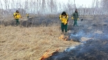 Омские добровольцы за сутки помогли потушить два пожара