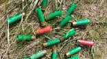 В Омске объявили охоту на барсучий жир