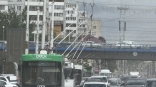 В центре Омска остановилось движение троллейбусов
