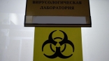В Омской области обнаружены новые очаги смертельно опасной инфекции