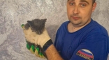 Котенок во время пожара в Омске проявил инициативу