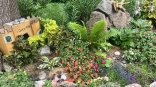 В ЦАО Омска назвали улицы с самыми привлекательными дворами и клумбами
