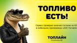 «Топлайн» запустил в мобильном приложении сервис проверки наличия топлива на АЗС